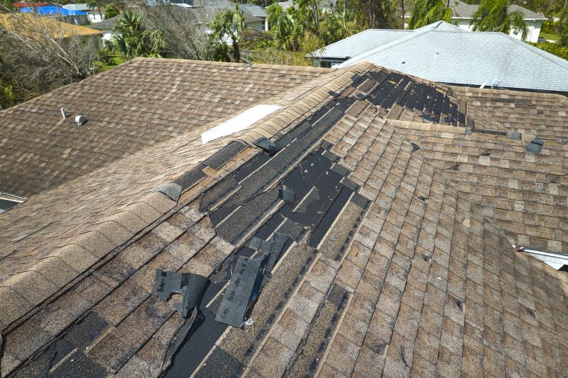 Shingle Damage Assessment