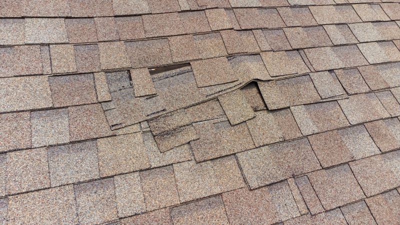 Complete Shingle Replacement
